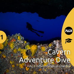 Ustica Cavern Adventure Dive